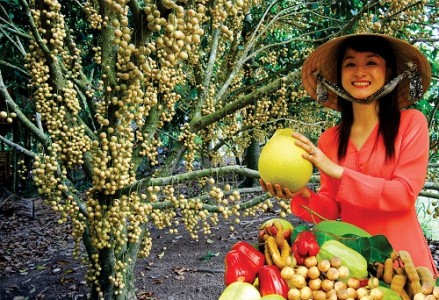 VISITING FRUIT ORCHARDS
