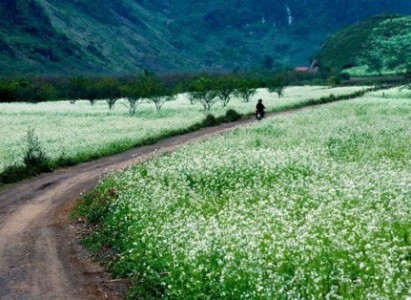 CẦN THƠ – SÀI GÒN  – HẠ LONG