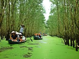 HÀ NỘI -CẦN THƠ -SÓC TRĂNG -BẠC LIÊU- CÀ MAU- CHÂU ĐỐC - CẦN THƠ (4N3Đ)