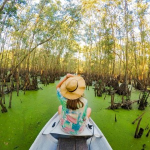 TRA SU TEA- TREE FOREST