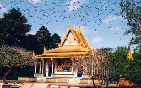 CAN THO -SOC TRANG ( The bat pogoda )