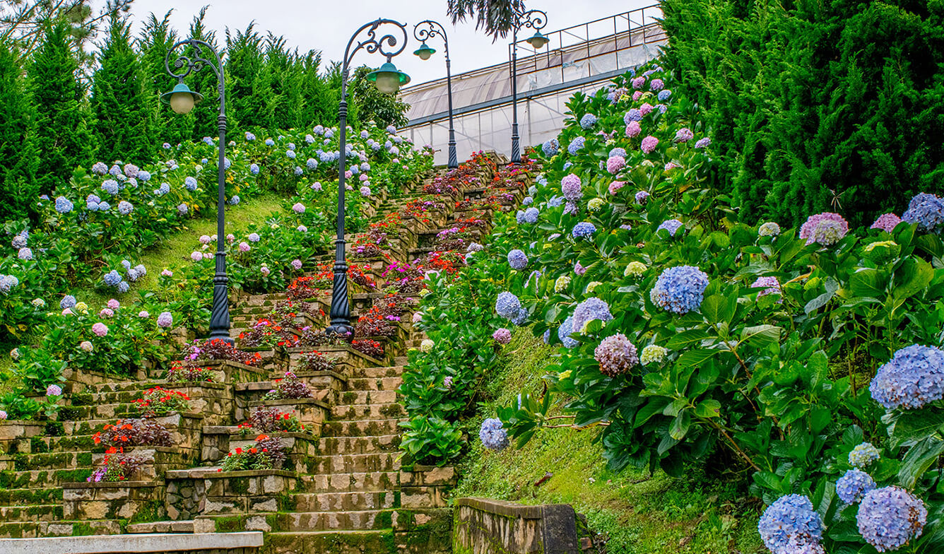 8 da lat